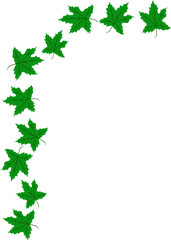 Maple leaf illustration. Maple leaf decoration 