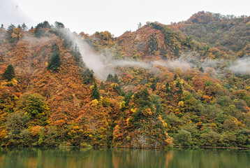 Japanese Scenery - Autumn mountain