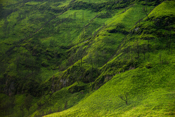 wild nature landscape