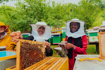 Business partners with an experienced senior beekeeper checking the quality and production of honey at a large bee farm