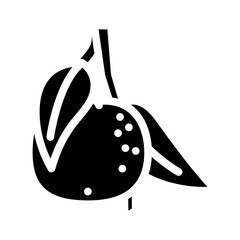 branch mandarin leaf glyph icon vector illustration