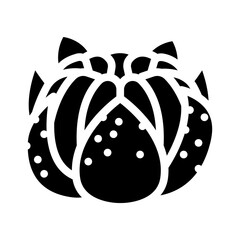 clementine mandarin glyph icon vector illustration