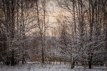 Foto auf Leinwand winter landscape in the countryside © Иван Сомов
