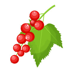 Vector image of a currant. The concept of a healthy diet and lifestyle. A ripe and delicious product. A bright element for your design