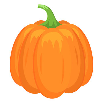 Vector image of a pumpkin. The concept of a healthy diet and lifestyle. A ripe and delicious product. A bright element for your design