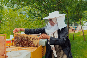 Hijab Arabian woman checking the quality of honey on the large bee farm in which she invested