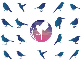 Set of silhouettes birs, sparrow, parrots, stork, vector silhouette collection.