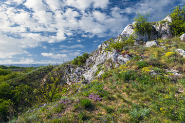 Palava landscape, Natural monument Cat Rock (Kocici skala), Southern Moravia, Czech Republic