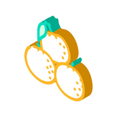 slice tangerine clementine peeled isometric icon vector illustration