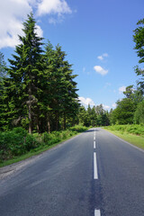 Fototapeta na wymiar road trip drive through forest. view along empty road on summers day. adventure route 