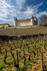 Fototapeta na wymiar Chateau de Rully castle, Saone-et-Loire departement, Burgundy, France