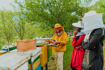 Business partners with an experienced senior beekeeper checking the quality and production of honey at a large bee farm