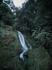 Panoramic landscape view of Butterfly Waterfalls or Seven Sister Waterfalls surrounded by lush green forest, a famous tourist place in Sikkim, India