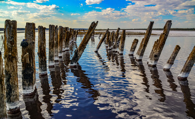 Ancient wooden piles in the Kuyalnitsky estuary, where self-sedimentary salt was mined from salt checks in the 18th century.