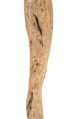 Part of driftwood isolated on white