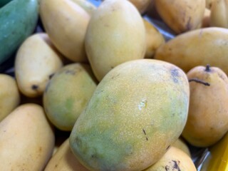 Green yellow mango. Thailand fruits