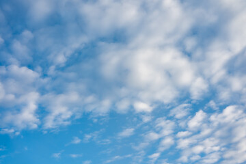 Fototapeta premium winter blue sky cloud gradient light white background. Beauty clear cloudy in sunshine calm bright summer air background.Gloomy vivid cyan landscape in environment day horizon skyline view winter wind