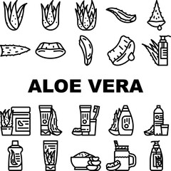 aloe vera plant nature green leaf icons set vector