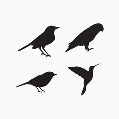 set of professional silhouette of birds in black color design vector