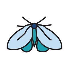 Filled Line MOTH design vector icon