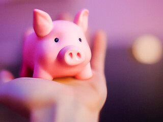 Fototapeta Tirelire en forme de cochon posée sur une main obraz