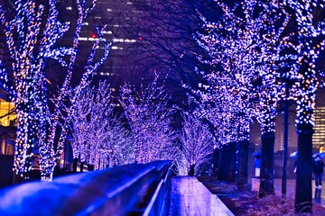 みなとみらいのイルミネーション夜景