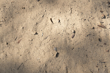Beach sand background with leaves and shadows, natural concept.