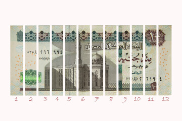 Title: installment payment in Egypt, Egyptian 100 pounds sliced into 12 pieces isolated on white background