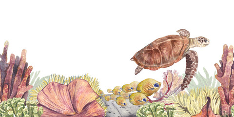 A banner with a turtle and tropical fish with corals isolated on a white background. Watercolor illustration of underwater animals and plants. With a place for text and seamless. Suitable for design.