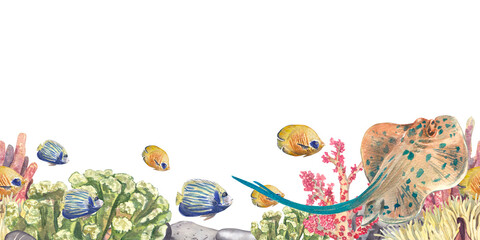 Banner with a stingray and tropical fish with corals isolated on a white background. Watercolor illustration of underwater animals and plants. With a place for text. Suitable for decoration, design.