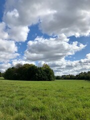 Blue Sky with Cumulus Fluffy Clouds Wispy Nature Spring Summer Sun Green Grass Trees Bushes