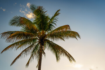 Fototapeta na wymiar Sunrise over South Beach, Miami, Florida