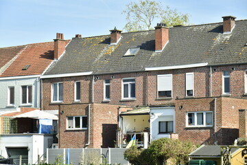 Façades arrières de maisons typiques d'après-guerre à Kessel-Lo au nord de Louvain 