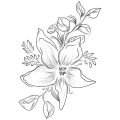 Line drawing flowers, wild flowers, hand drawn vector illustration.