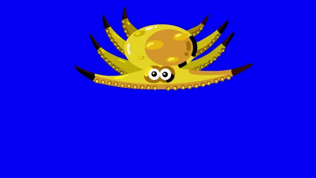 Swimming cartoon animation yellow octopus isolated. No bubbles version, character only. Cute animal squid character on bluebox good for keying. Kid animations, intro, fairy tales, etc...
