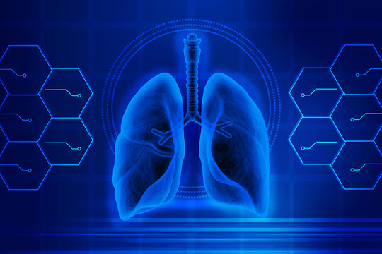3d illustration Healthy Human Lungs 
