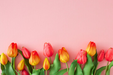Spring concept. Top view photo of red tulips flowers on isolated pastel pink background with empty space. Holiday card idea