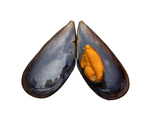 Mussels isolated on white background. Fresh seafood.