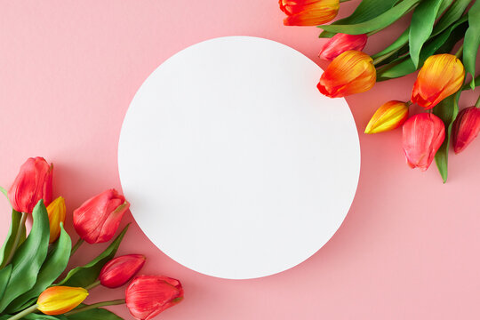 Spring mood concept. Top view photo of white circle bouquet of red tulips on isolated pastel pink background with blank space. Holiday card idea
