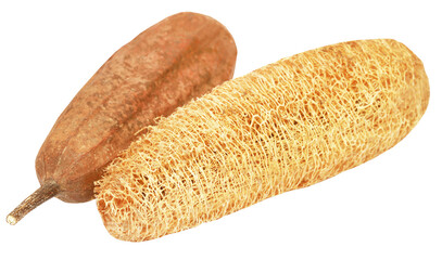 Natural scrubber of dried Ridge gourd