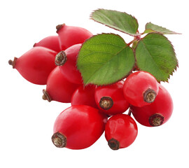 Rose hips