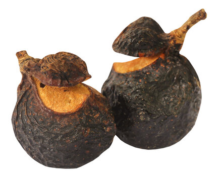 Soapnuts or Soapberries