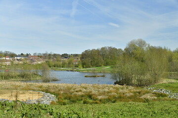 La r&eacute;serve naturelle en face de l'&eacute;tang principal au parc du Paradis &agrave; Braine-l'Alleud 