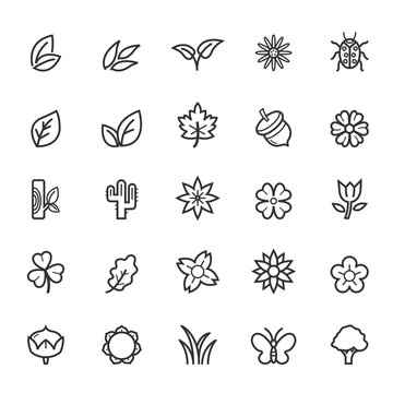 Set of Outline Stroke Natural Icons