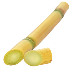 Piece of sugarcane