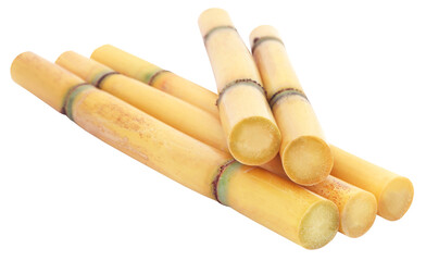 Piece of sugarcane