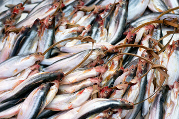Obraz premium Fresh fish for sale at a fish market