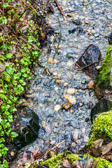 Park Rocky Stream 2