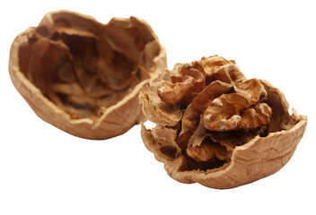 Walnut
