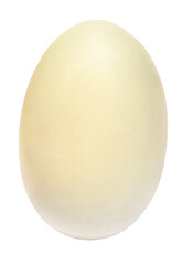 White egg